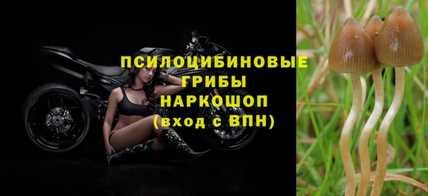 гашик Абаза