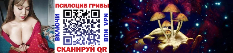 Псилоцибиновые грибы MAGIC MUSHROOMS  это телеграм  Ржев 