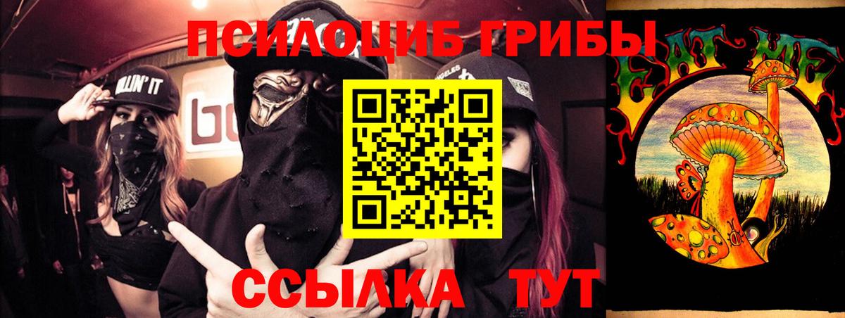 Ржев  Псилоцибиновые грибы Psilocybine cubensis  Вход с VPN  Псилоцибиновые грибы MAGIC MUSHROOMS 