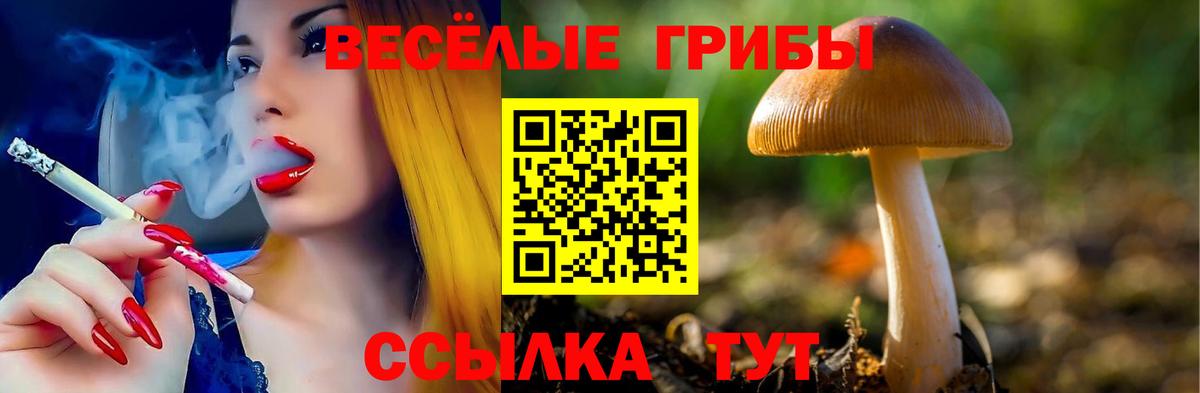 Галлюциногенные грибы MAGIC MUSHROOMS Ржев